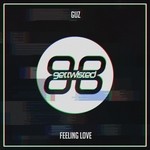 cover: Guz - Feeling Love