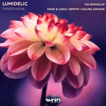 cover: Lumidelic - Synesthesia (The Remixes)