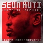 cover: Seun Kuti & Egypt 80 - Higher Consciouness (Remixes)