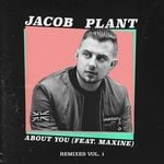 cover: Jacob Plant|Maxine - About You (Remixes Vol 1)