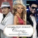 cover: Shaggy|Sahara - Champagne (Remixes)