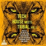 cover: Various - Tech House Meets Tribal Vol 2