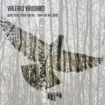 cover: Valerio Vaudano - Quiet Soul