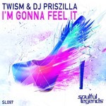 cover: Twism & Dj Priszilla - I'm Gonna Feel It