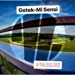 cover: Gotek - Mi Sensi