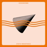 cover: Hookworms - Static Resistance