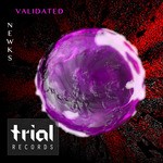 cover: Newks - Validated