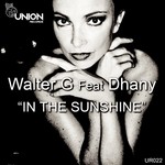 cover: Walter G - In The Sunshine (feat Dhany)