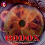 cover: Rodox Trading - This Is Meditation/Fallit