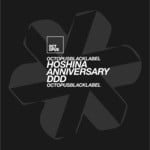 cover: Hoshina Anniversary - DDD