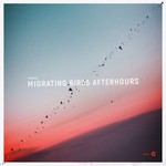 cover: Troniq - Migrating Birds Afterhours