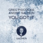 cover: Andre Salmon|Greg Pidcock - You Got It