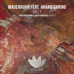 cover: Anand Ehring|Mauerhuhn - Melt (Feat. Anand Ehring)