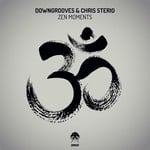 cover: Downgrooves & Chris Sterio - Zen Moments