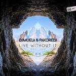 cover: Dj Muela & Pakore Dj - Live Without It