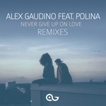 cover: Alex Gaudino|Polina - Never Give Up On Love