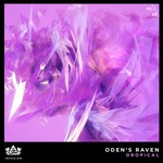 cover: Dropical - Oden's Raven