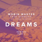 cover: Mobin Master - Dreams (feat Frida Harnesk) (Part 2)