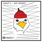 cover: Knut S - Say What?