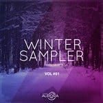 cover: Various - Winter Sampler 01