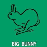 cover: 21 Room|Big Bunny|Bunny House|Znmk - Ensuing