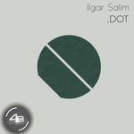 cover: Ilgar Salim - Dot