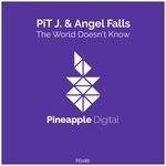 cover: Angel Falls|Pit J - The World Doesn't Know