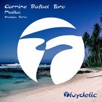 cover: Carmine Rafael Faro - Malibu (Kralbies Remix)