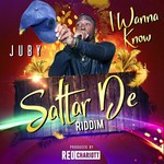 cover: Juby - I Wanna Know (Salter De Riddim)