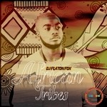 cover: Dj Flaton Fox - African Tribe