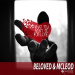 cover: Beloved & Mcleod|Dj Beloved - What You Won't Do For Love