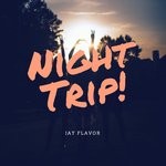 cover: Jay Flavor - Night Trip