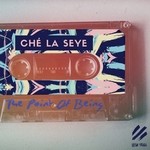 cover: Che La Seye - The Point Of Being