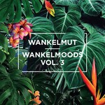 cover: Various - Wankelmoods Vol 3