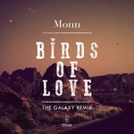 cover: Monn - Birds Of Love (The Galaxy Remix)