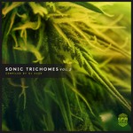 cover: Various - Sonic Trichomes Vol 2