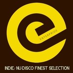 cover: Various - Indie/Nu Disco Finest Selection