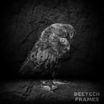 cover: Deetech - Frames