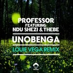 cover: Ndu Shezi & Thebe|Professor - Unobenga