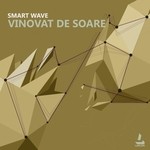 cover: Smart Wave - Vinovat De Soare