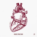 cover: Bunny House|Various - House Space Mix Vol 22