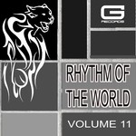 cover: Puma 69 - Rhythm Of The World Vol 11