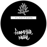 cover: Foamplate - Nettle/Moose Fly