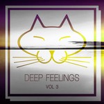 cover: Various - Deep Feelings Vol 3