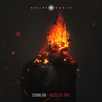 cover: Downlink - Absolute Fire