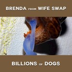 cover: Brenda From Wife Swap - Billions Of Dogs