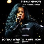 cover: Stefan Groove|Tameka Jackson - Do You Want It Right Now