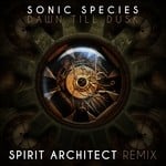 cover: Sonic Species - Dawn Till Dusk