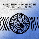 cover: Alex Seda & Dave Rose - You Got Me Thinking