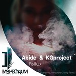 cover: Abide & Kgproject - Pollux